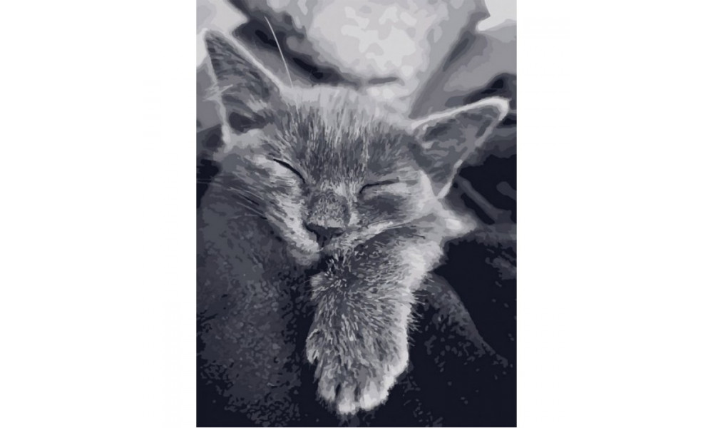 Набір для розпису "Котяча подяка" 40*50 см 11612-AC