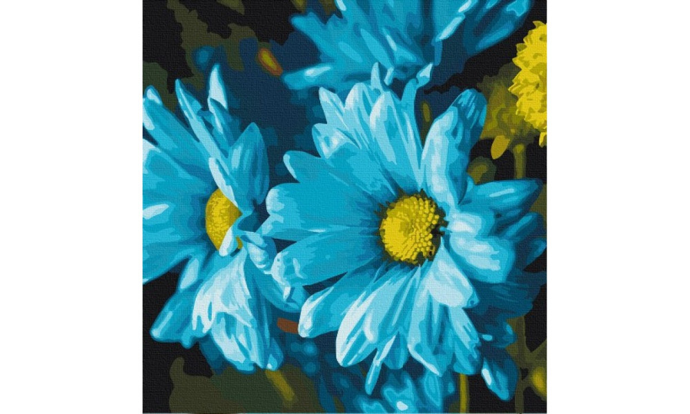 Набір для розпису "Ромашки" 40*40 см 13115-AC