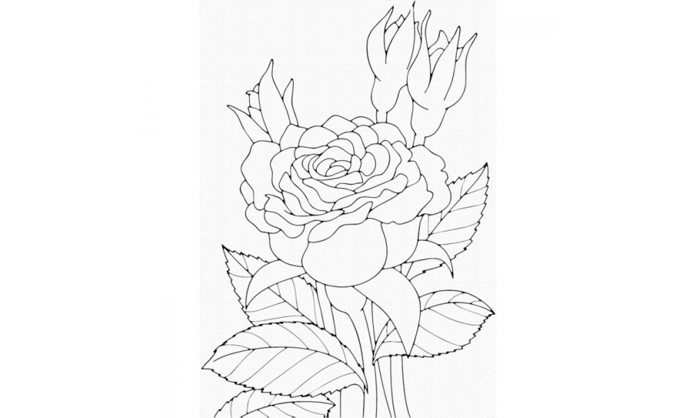 Набір для розпису "Троянда" 25*30 см 15505-AC