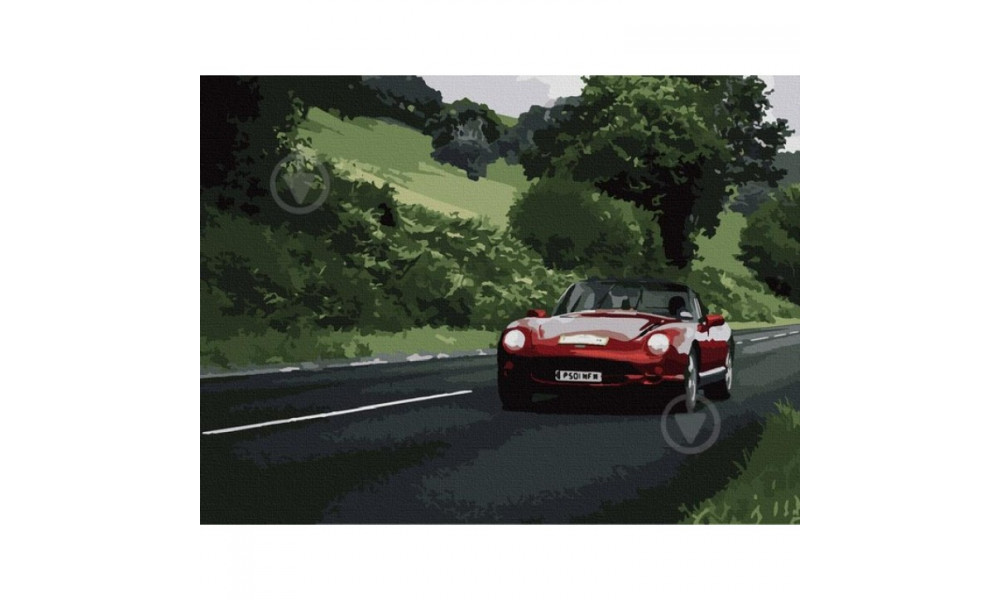 Набір для розпису "Насолоджуйся швидкістю" 40*50 см 10520-AC