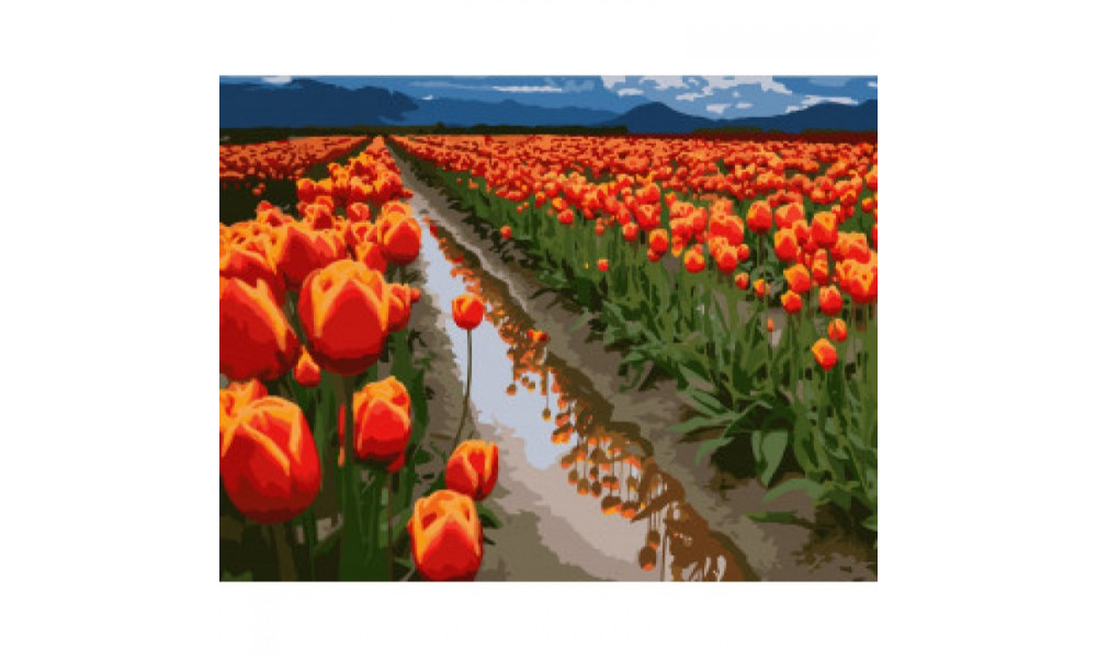 Набір для розпису "Поля в Голландії" 40*50 см 10524-AC