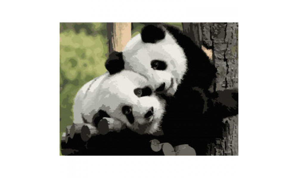 Набір для розпису "Панди Інь-Янь" 40*50 см 11606-AC