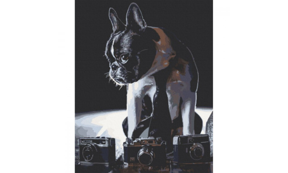 Набір для розпису "Сором'язливий фотограф" 40*50 см 11642-AC