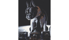 Набір для розпису "Сором'язливий фотограф" 40*50 см 11642-AC