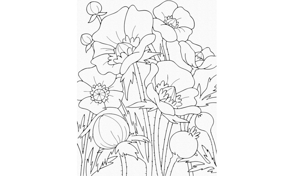 Набір для розпису "Маки" 25*30 см 15506-AC